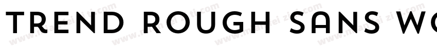 Trend Rough Sans W05 Five字体转换